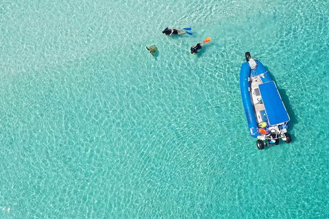 Remote Fraser Island & Whale Experience - Accommodation ACT 0