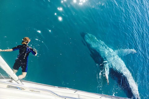 Remote Fraser Island & Whale Experience - Accommodation ACT 4