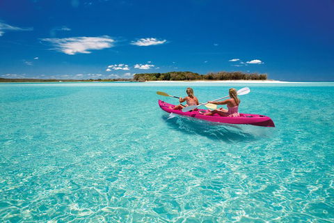 Remote Fraser Island & Whale Experience - Accommodation ACT 5