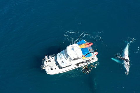 Remote Fraser Island & Whale Experience - Accommodation ACT 1