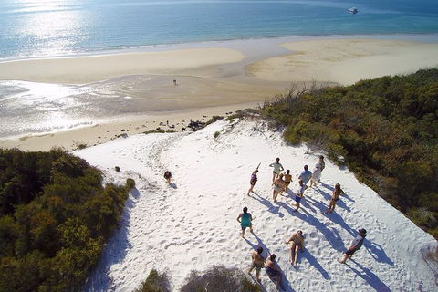 Remote Fraser Island & Whale Experience - Accommodation ACT 2