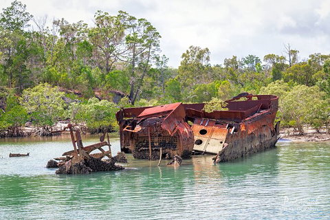 Sandy Straits Scenic & Wildlife Cruise - Accommodation ACT 9