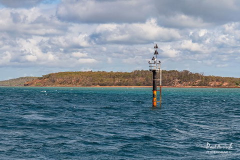 Sandy Straits Scenic & Wildlife Cruise - Accommodation ACT 6