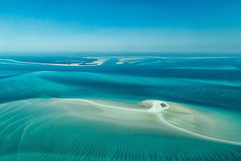 Sandy Straits Scenic & Wildlife Cruise - Accommodation ACT 5