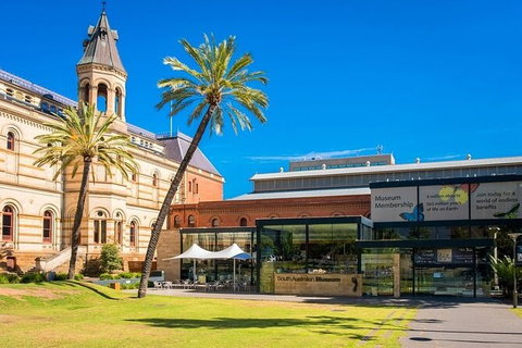 Departure Private Transfers: Adelaide To Adelaide Airport ADL In Luxury Van - Accommodation ACT 5