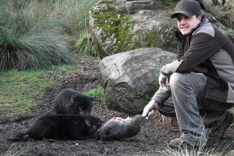 After Dark Tasmanian Devil Feeding Tour At Cradle Mountain - Accommodation ACT 0