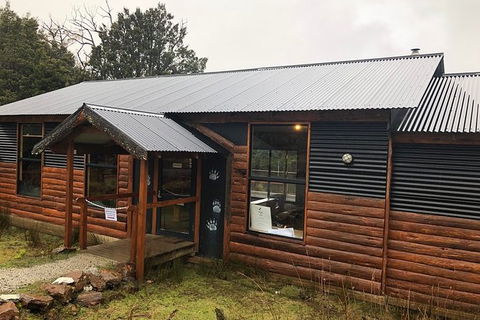 After Dark Tasmanian Devil Feeding Tour At Cradle Mountain - Accommodation ACT 6