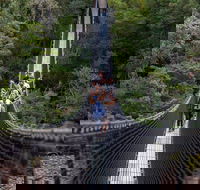 Tahune Airwalk Active Day Trip from Hobart Including Hastings Caves - Accommodation ACT