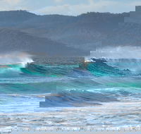 Full Day Tour Hobart East Coast Classic Wine Beach Oysters Seafood  Berries - Accommodation ACT