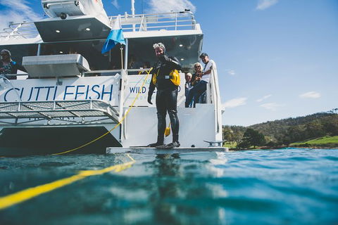 Deep-to-Dish: Tasmanian Seafood Experience - Afternoon Tour - Accommodation ACT 6