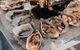 Deep-to-Dish: Tasmanian Seafood Experience - Afternoon Tour - thumb 3