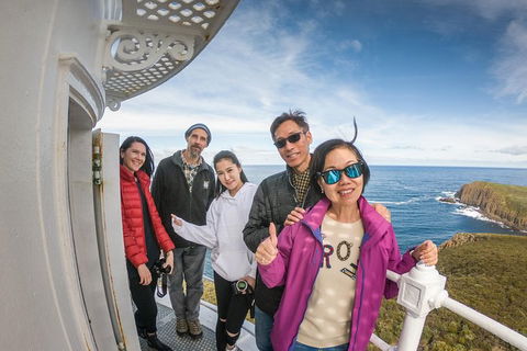 Fully Guided Bruny Island Lighthouse Tour - Accommodation ACT 8