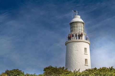 Fully Guided Bruny Island Lighthouse Tour - Accommodation ACT 7