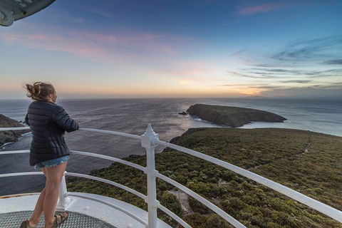 Fully Guided Bruny Island Lighthouse Tour - Accommodation ACT 4