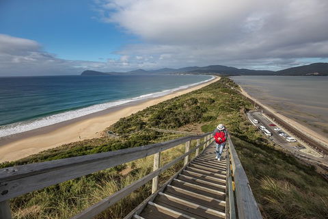Fully Guided Bruny Island Lighthouse Tour - Accommodation ACT 2