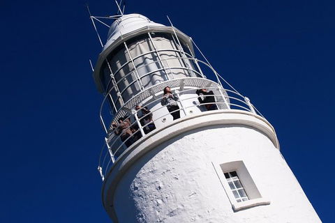 Fully Guided Bruny Island Lighthouse Tour - Accommodation ACT 1