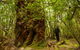 3-Day Southwest National Park Wilderness Camping Tour - thumb 4