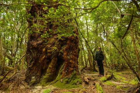 3-Day Southwest National Park Wilderness Camping Tour - Accommodation ACT 4