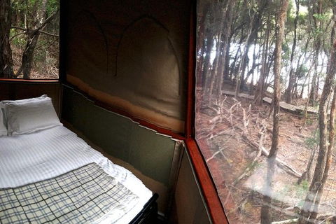 3-Day Southwest National Park Wilderness Camping Tour - Accommodation ACT 7