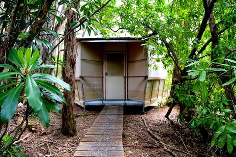 3-Day Southwest National Park Wilderness Camping Tour - Accommodation ACT 2