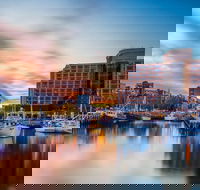 5 Day 4 Night Guided Tasmania Tour - Accommodation ACT