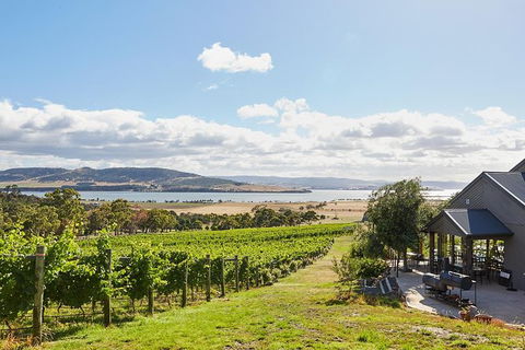 Launceston Wine & Sightseeing Tours - Accommodation ACT 0