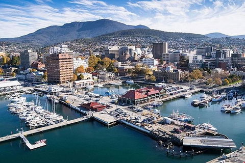 Highlights Of Tasmania Premium Small Group 7 Days Touring Package - Accommodation ACT 11