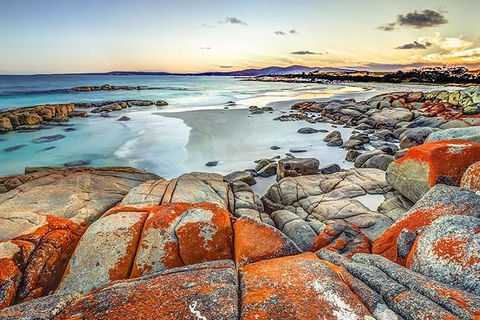 Highlights Of Tasmania Premium Small Group 7 Days Touring Package - Accommodation ACT 12