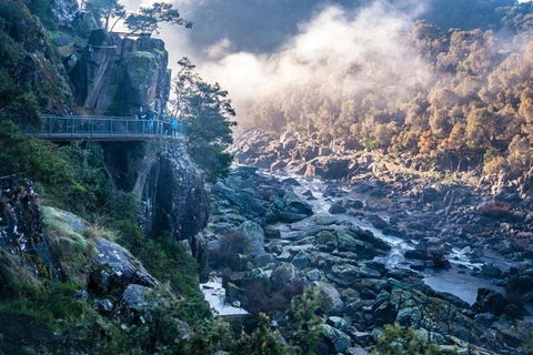 3.5 Hours Walking Tour To Cataract Gorge With Local Guide - Accommodation ACT 0