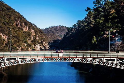 3.5 Hours Walking Tour To Cataract Gorge With Local Guide - Accommodation ACT 5