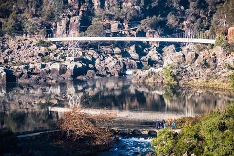 3.5 Hours Walking Tour To Cataract Gorge With Local Guide - Accommodation ACT 2