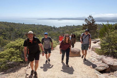 Half-Day Tour To Wineglass Bay From Launceston With Guide - Accommodation ACT 4