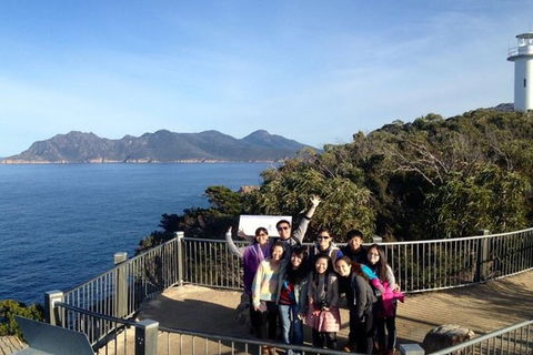 Half-Day Tour To Wineglass Bay From Launceston With Guide - Accommodation ACT 3