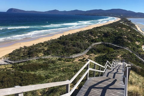 4-Day Fabulous Tasmania Tour: Wineglass Bay, Port Arthur, Devils & Bruny Island - Accommodation ACT 3