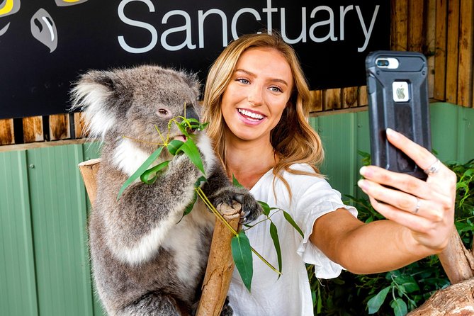 Mornington VIC Accommodation ACT