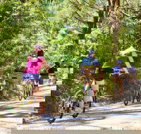 Cycle Tour  Self Guided  Mornington Peninsula Victoria  Wine Region - Accommodation ACT