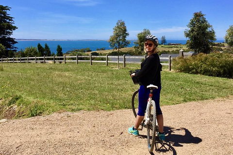 Cycle Tour | Self Guided | Mornington Peninsula Victoria & Wine Region - Accommodation ACT 1