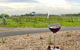 Cycle Tour | Self-Guided | Bellarine Peninsula Victoria | Food & Wine Region - thumb 6
