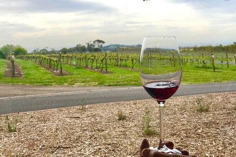 Cycle Tour | Self-Guided | Bellarine Peninsula Victoria | Food & Wine Region - Accommodation ACT 6