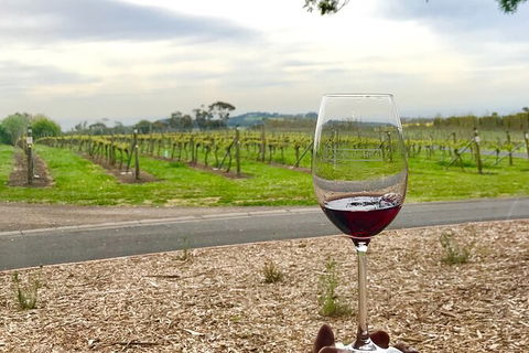 Cycle Tour | Self-Guided | Bellarine Peninsula Victoria | Food & Wine Region - Accommodation ACT 1