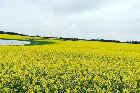 Cycle Tour | Self-Guided | Bellarine Peninsula Victoria | Food & Wine Region - Accommodation ACT 5