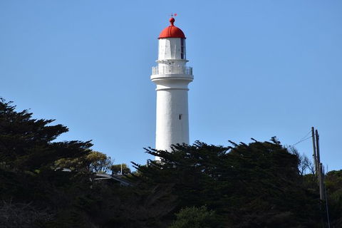 Great Ocean Road Tour Plus Koalas, Forest Walk And Morning Tea. - Accommodation ACT 1