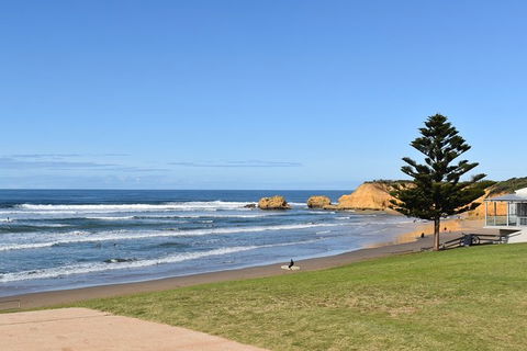 Great Ocean Road Tour Plus Koalas, Forest Walk And Morning Tea. - Accommodation ACT 3
