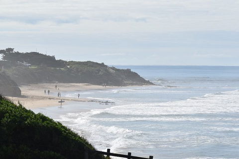 Great Ocean Road Tour Plus Koalas, Forest Walk And Morning Tea. - Accommodation ACT 10
