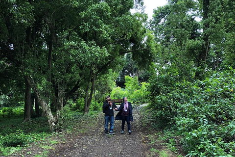 Alices Journeys Guided Walking Tours Of Daylesford - Accommodation ACT 5