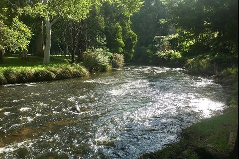Watertube Experience In Yarra River - Accommodation ACT 3
