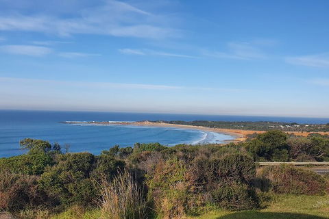 Private Great Ocean Road And Chocolaterie Tour With Tasting - Accommodation ACT 5