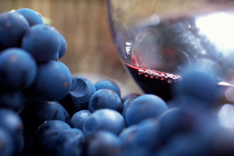 Mornington Peninsula 2-6 Guests Lunch Rare Hare Or Merricks General Wine Store - Accommodation ACT 7