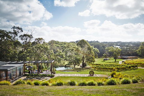 Mornington Peninsula 2-6 Guests Lunch Rare Hare Or Merricks General Wine Store - Accommodation ACT 3
