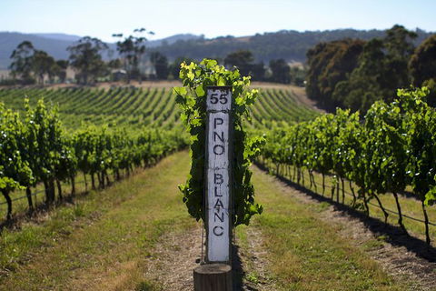 Mornington Peninsula 2-6 Guests Lunch Rare Hare Or Merricks General Wine Store - Accommodation ACT 5